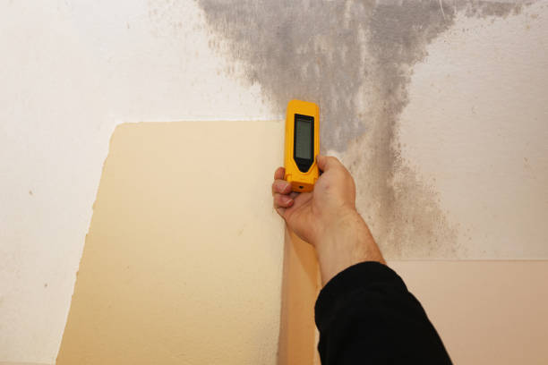 Forensic Mold Investigation in West Odessa, TX