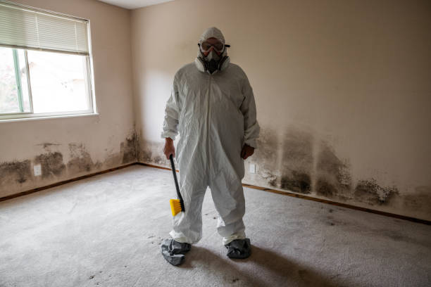 Best Environmental Consulting for Mold Prevention  in West Odessa, TX